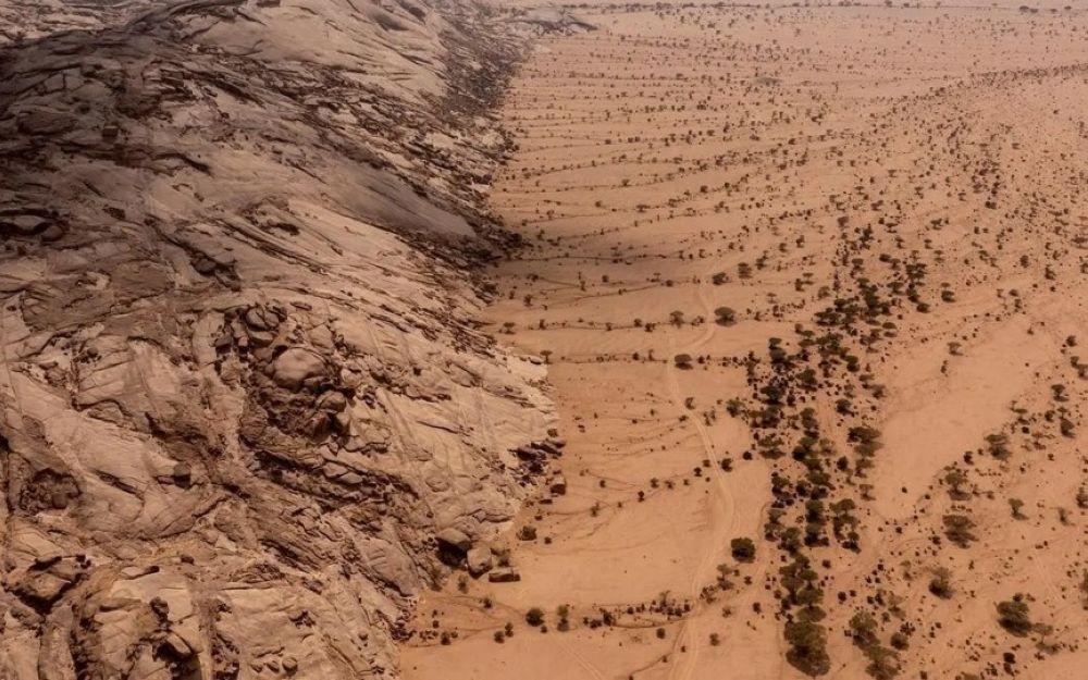أخبار من السعودية.. 40 مليون هكتار.. كيف تتحوّل الأرض القاحلة لمساحات خضراء في السعودية؟