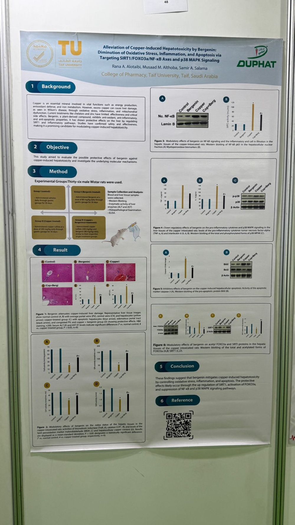 أخبار من السعودية.. الباحثة رنا العتيبي لـ"اليوم": بدأت رحلتي من ألم شخصي.. ونشرت 50 بحثًا