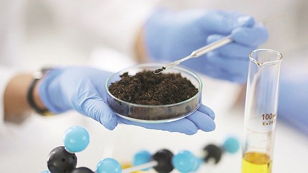 دراسة علمية: الإمارات تمثل انطلاقة لتحول جذري في مستقبل الزراعة