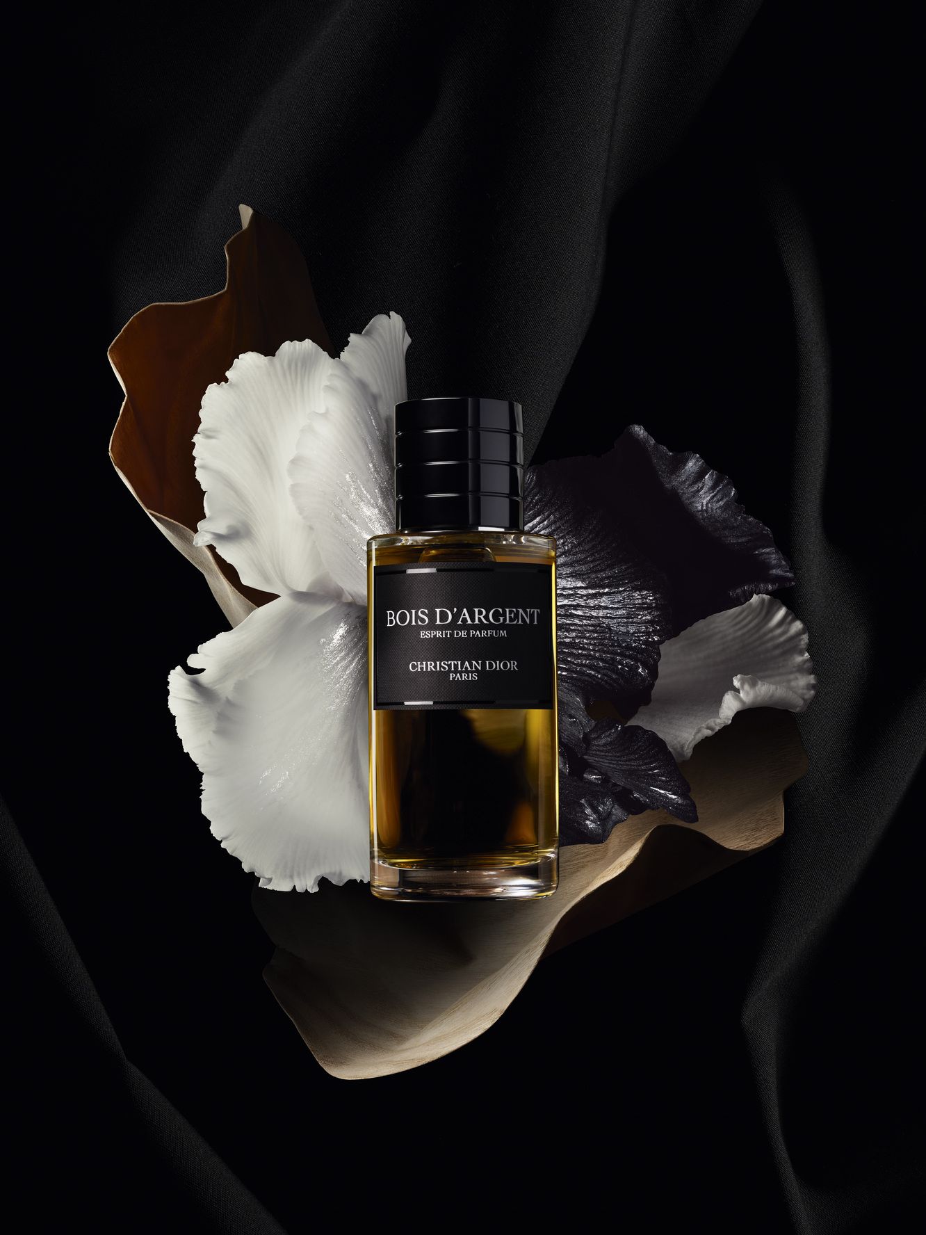 عطر Bois D’argent من ديور بيوتي: أيقونة العطر تتجدد بروح أكثر فخامة