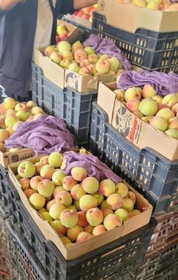 رئيس الوزراء يوجه بحملات رقابية لضبط الأسعار تزامناً مع تحسن العملة