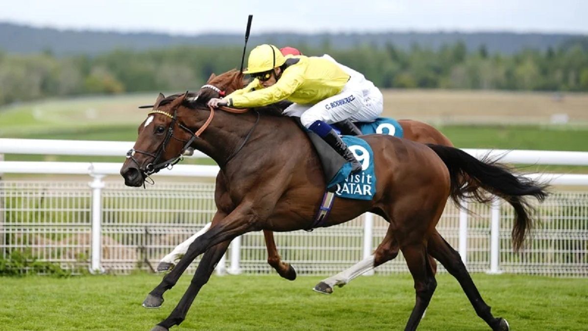 الامارات | "هاتريك" لخيول الإمارات في ختام مهرجان "غودوود" البريطاني