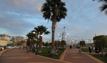 تنسيق الجامعات في مصر.. اعرف درجات القبول في التخصصات الجامعية