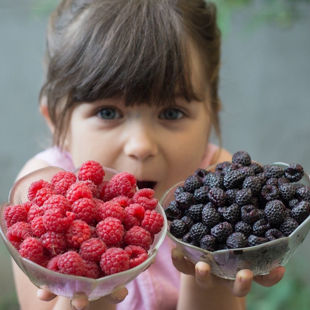 دليلك للتفريق بين الحساسية الغذائية عند طفلك و متلازمة الحساسية الفموية