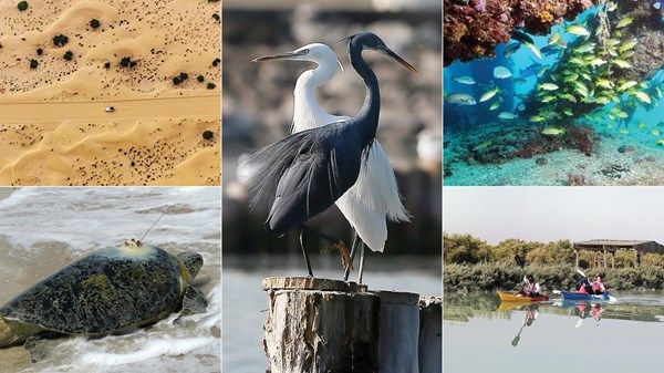 أبوظبي.. ملاذ آمن للطبيعة