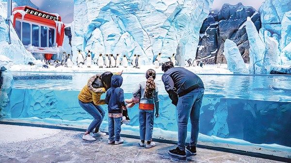 «سي وورلد أبوظبي».. رحلة ترفيهية فريدة عبر عوالم بحرية متكاملة