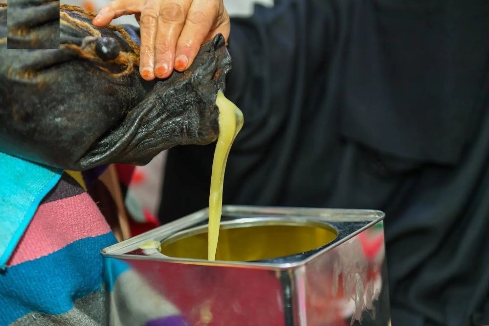 أخبار من السعودية.. "السمن البري" أحد ركائز الأمن الغذائي في الحدود الشمالية