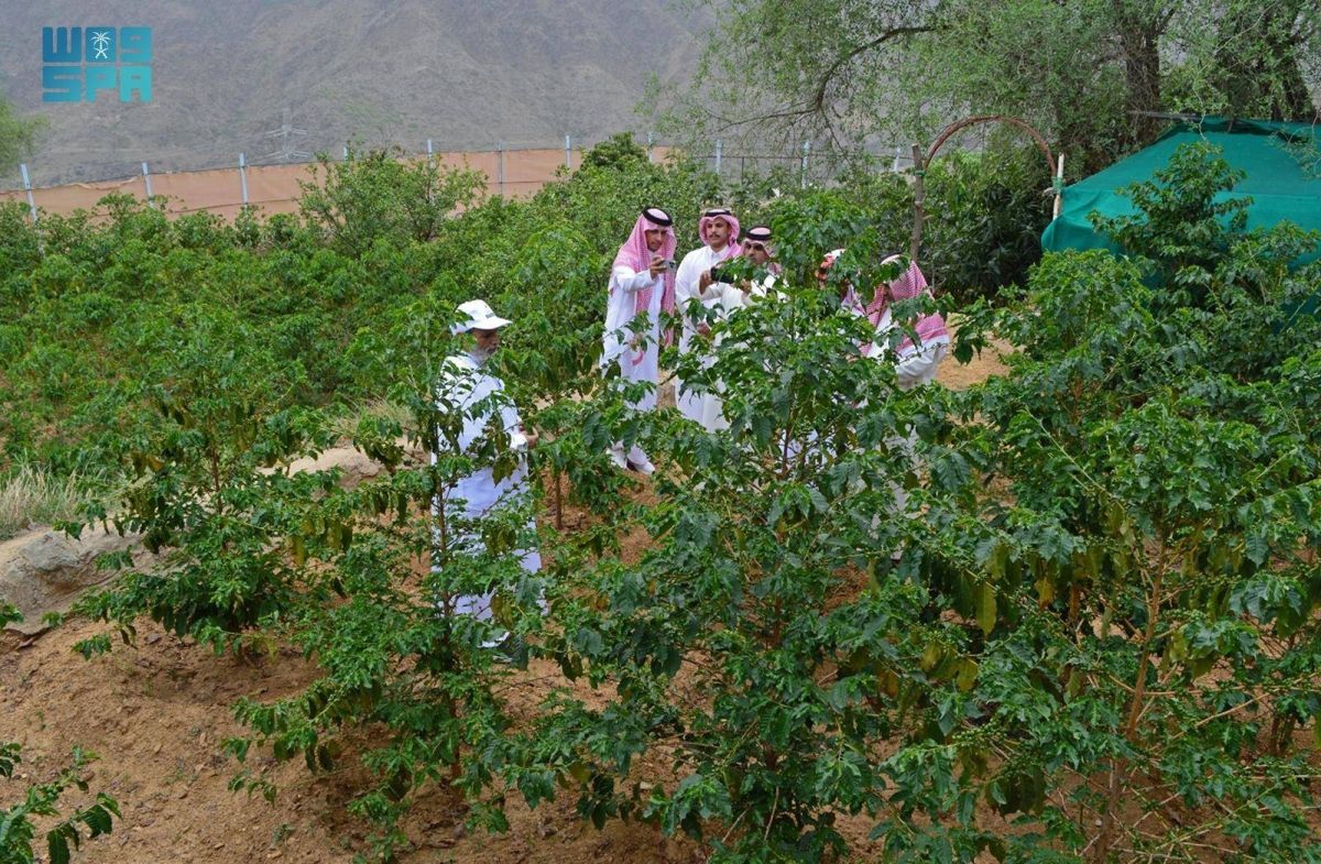 إطلاق مبادرة لتعزيز التنمية الزراعية والسياحة البيئية في عسير