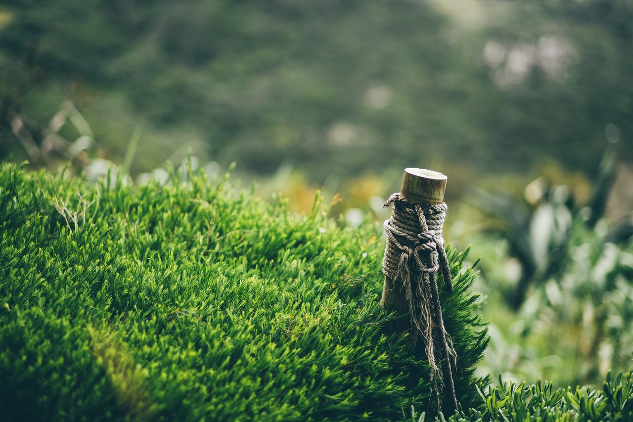 قصص قصيرة قبل النوم للأطفال في سن السابعة