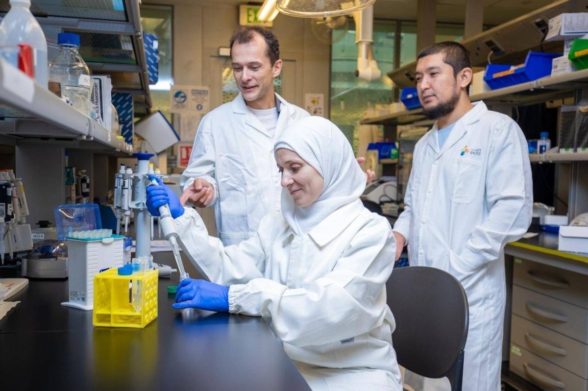 خرائط جينية سعودية جديدة تعزز دقة التشخيص والعلاج للأمراض الوراثية