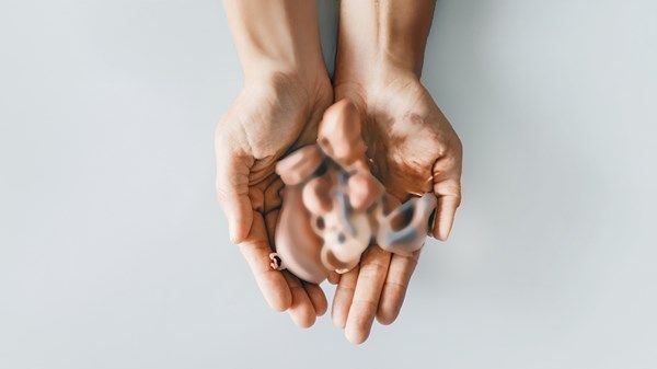 «الاتحاد» تستعرض تجارب  إماراتية ملهمة.. «زراعة  الأعضاء» أمل جديد للباحثين عن الحياة
