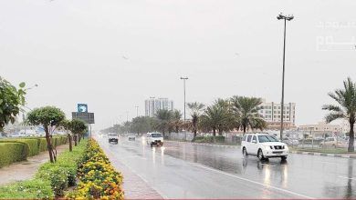 توقعات بأمطار رعدية اليوم في المملكة العربية السعودية يوم الخميس 14 أغسطس 2025