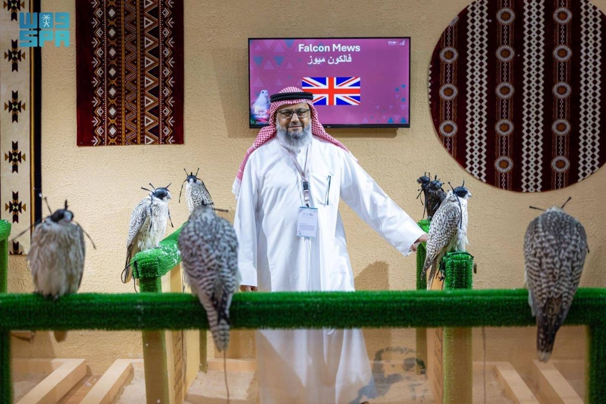 المزرعة الإنجليزية «فالكون ميوز» تشارك بـ100 صقر في مزاد مزارع إنتاج الصقور