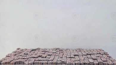 ضبط 59 ألف قرص مخدر في جازان بتورط مهربين وبشكل رسمي