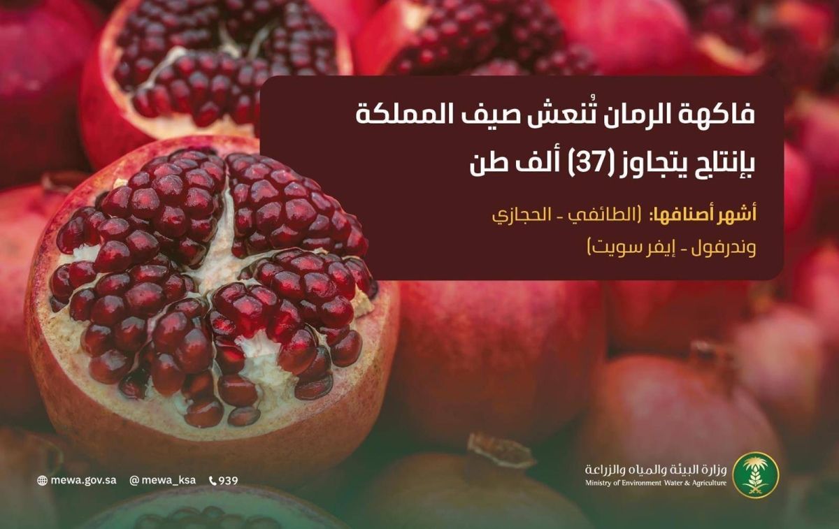 الرمان المحلي يغمر أسواق المملكة بإنتاج يتجاوز 37 ألف طن