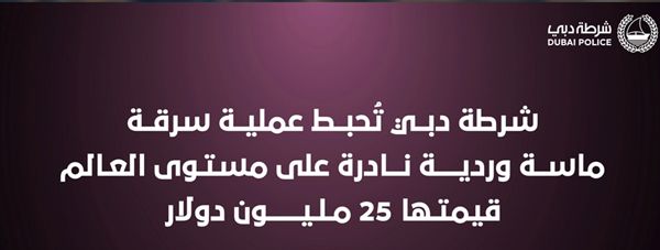 "شرطة دبي" تحبط سرقة ماسة وردية نادرة بقيمة 25 مليون دولار