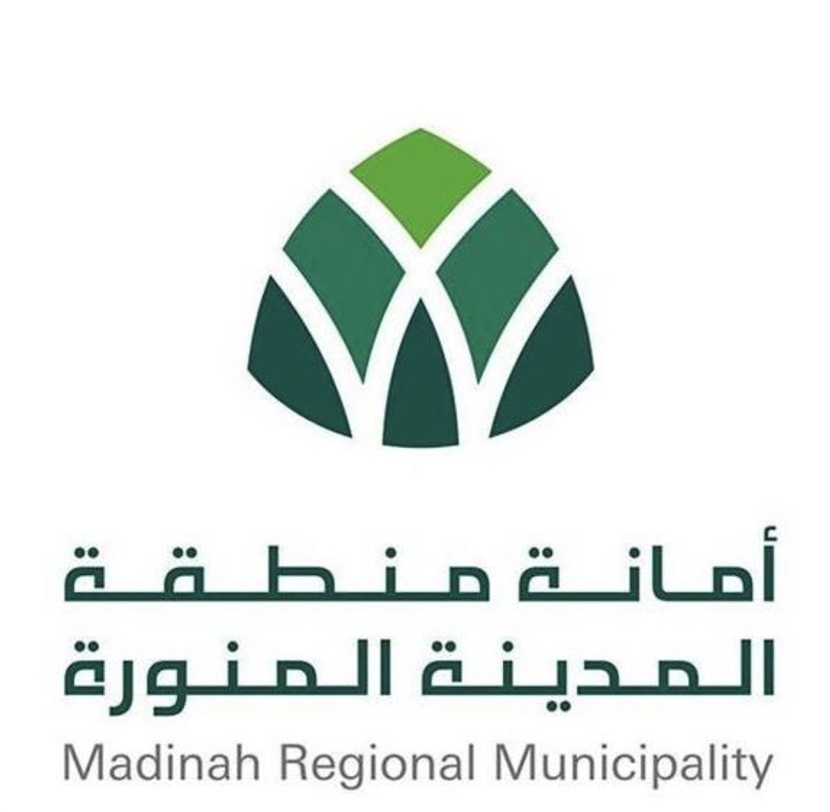 أمانة المدينة تبحث سبل تطوير الخدمات العقارية بالمنطقة