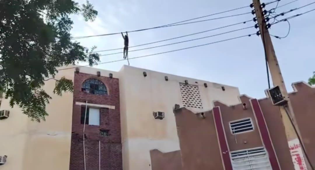 بالصورة والفيديو.. في السودان.. “قرد” يلقى مصرعه بصعق كهربائي في الشارع العام بعد ساعات قليلة من شرائه.. شاهد ردة فعل صاحبه!!