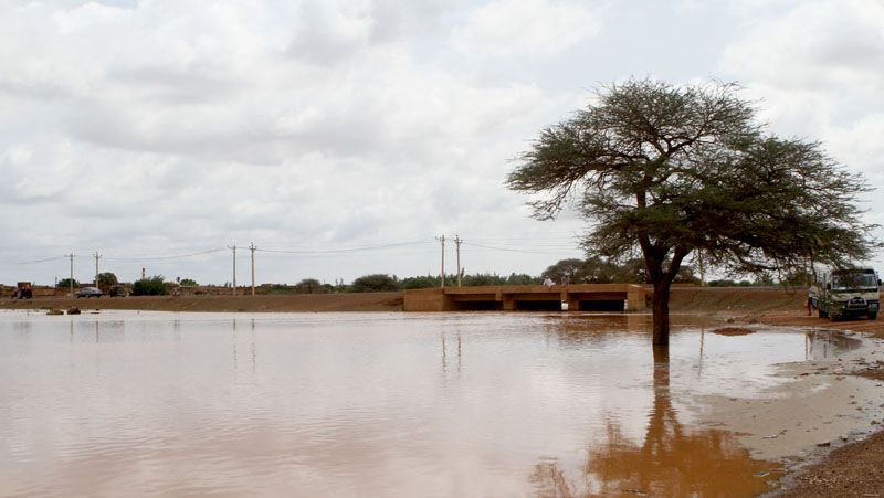 لجنة طوارئ الخريف بالخرطوم تشدد على قيام حملات مكثفة للقضاء على نواقل الأمراض وأماكن التوالد