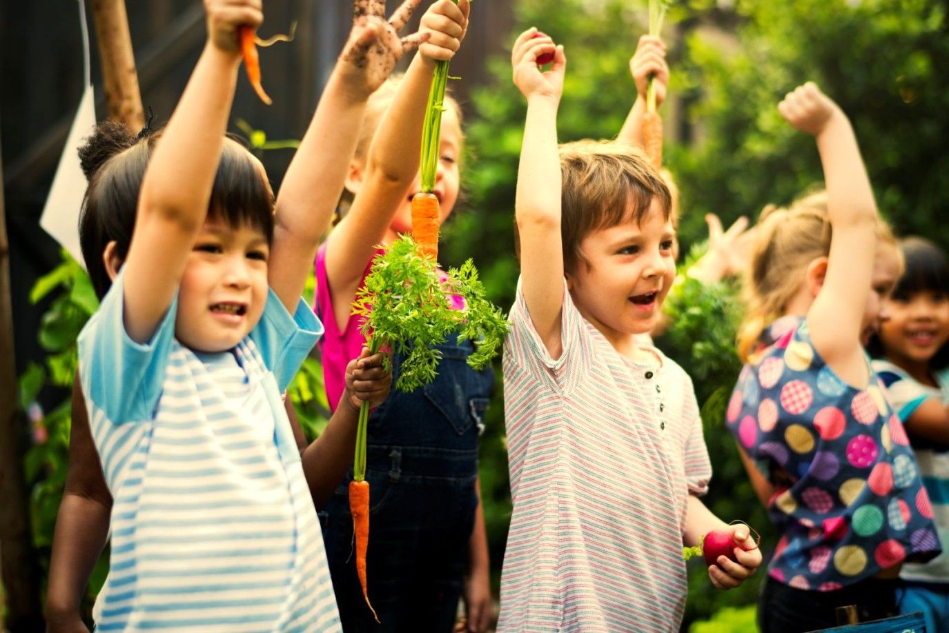 نظام غذائي وصحي للأطفال النباتيين: نصائح وإرشادات