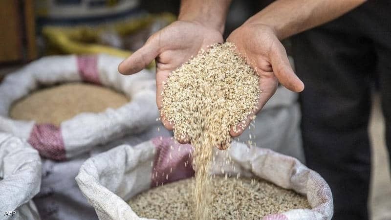 الزراعة: حملة تفتيشية لمكافحة تهريب التقاوي