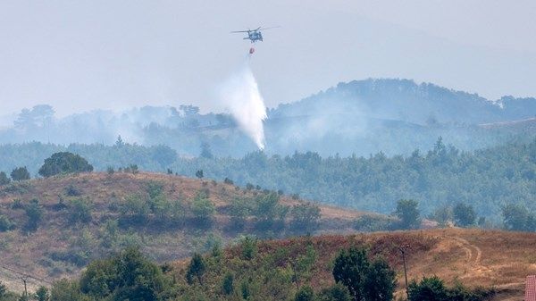 فريق الإنقاذ الإماراتي يواصل عمليات إخماد حرائق الغابات في ألبانيا