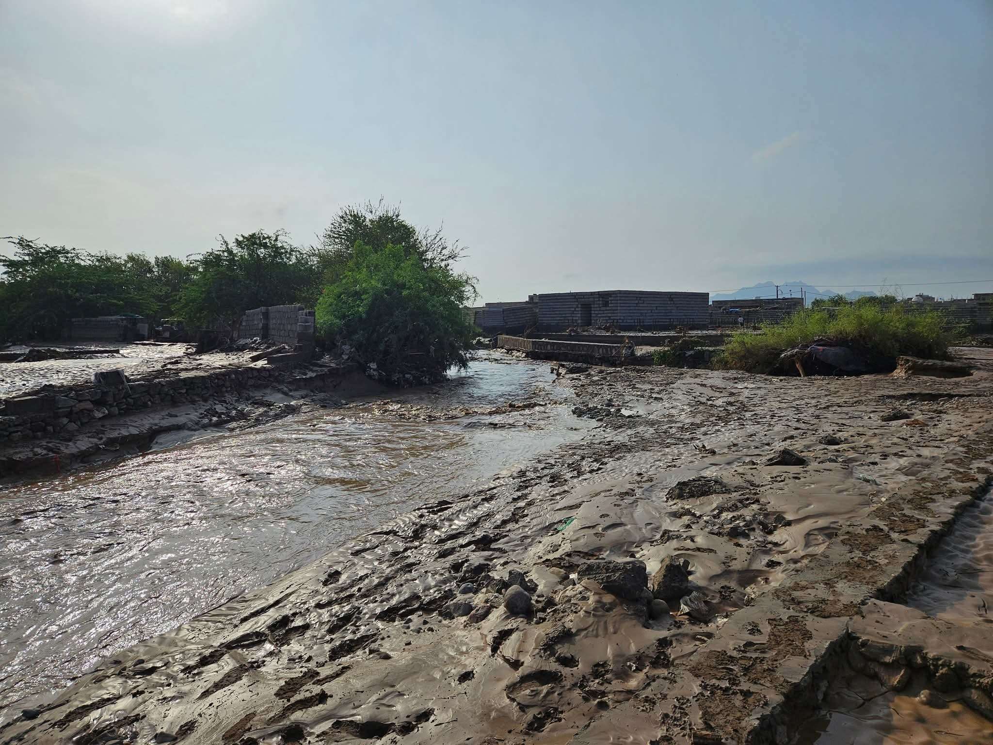 بالصور.. دمار شامل ومأساة إنسانية في "الوادي الكبير الحسوة" بعد اجتياح السيل وانتشار للثعابين