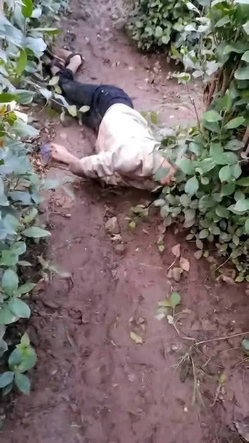 مزارع يعثر على جثة شاب بعد توقف المطر (صورة)