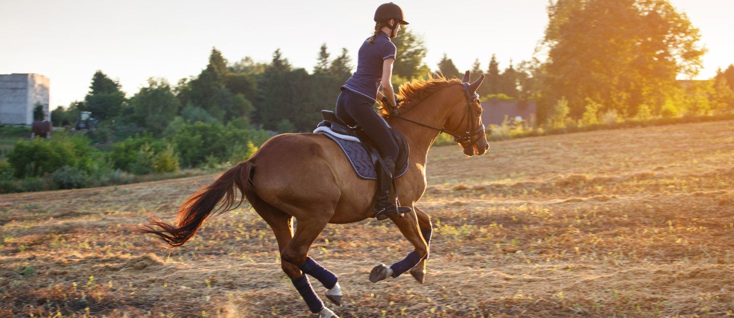 شاهد بالفيديو.. أطفال سودانيون يدهشون الجميع ببراعتهم الفائقة في ركوب الخيل وسباق الفروسية بالقاهرة