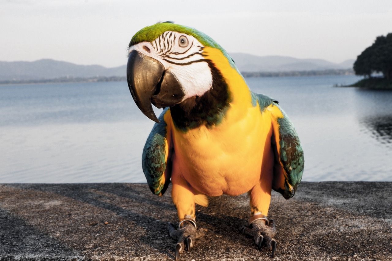 أطرف أعذار الأطفال لتبرير عدم كتابة الواجب المدرسي!