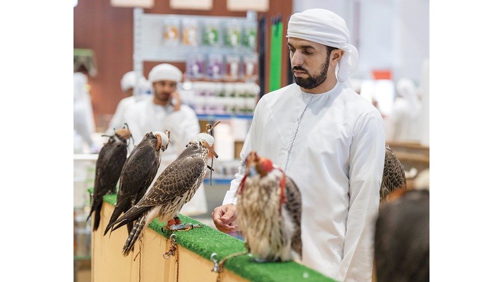 برعاية حمدان بن زايد.. «أبوظبي الدولي  للصيد والفروسية 2025» يجمع بين التراث الإماراتي والابتكارات المستقبلية