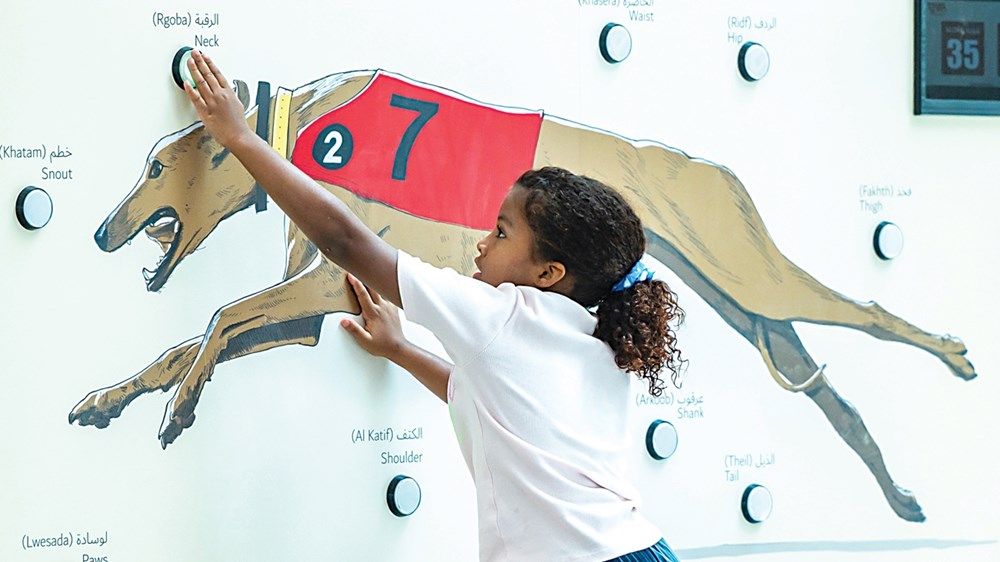 المنتجات الوطنية علامة بارزة تجذب زوار «الصيد والفروسية»