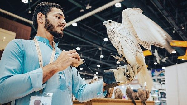 المنتجات الوطنية علامة بارزة تجذب زوار «الصيد والفروسية»