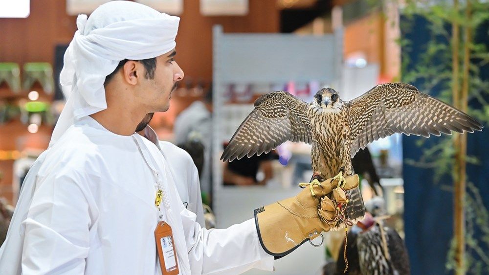 «أبوظبي للصيد والفروسية».. منصة لصون التراث وتعزيز الهوية الوطنية