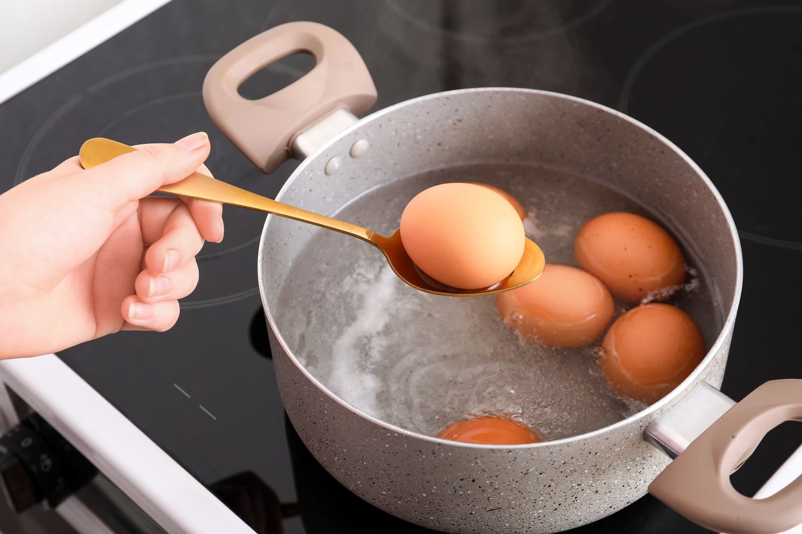 8 معلومات تجعل البيض من أهم الأغذية على مائدتك