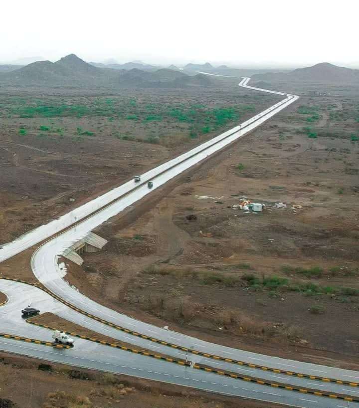 صورة مشروع اماراتي دشنه طارق صالح تتحول ترند