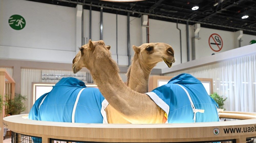 معرض أبوظبي الدولي للصيد والفروسية يحتفي بالابتكارات والحرف اليدوية التي تعكس التراث الإماراتي