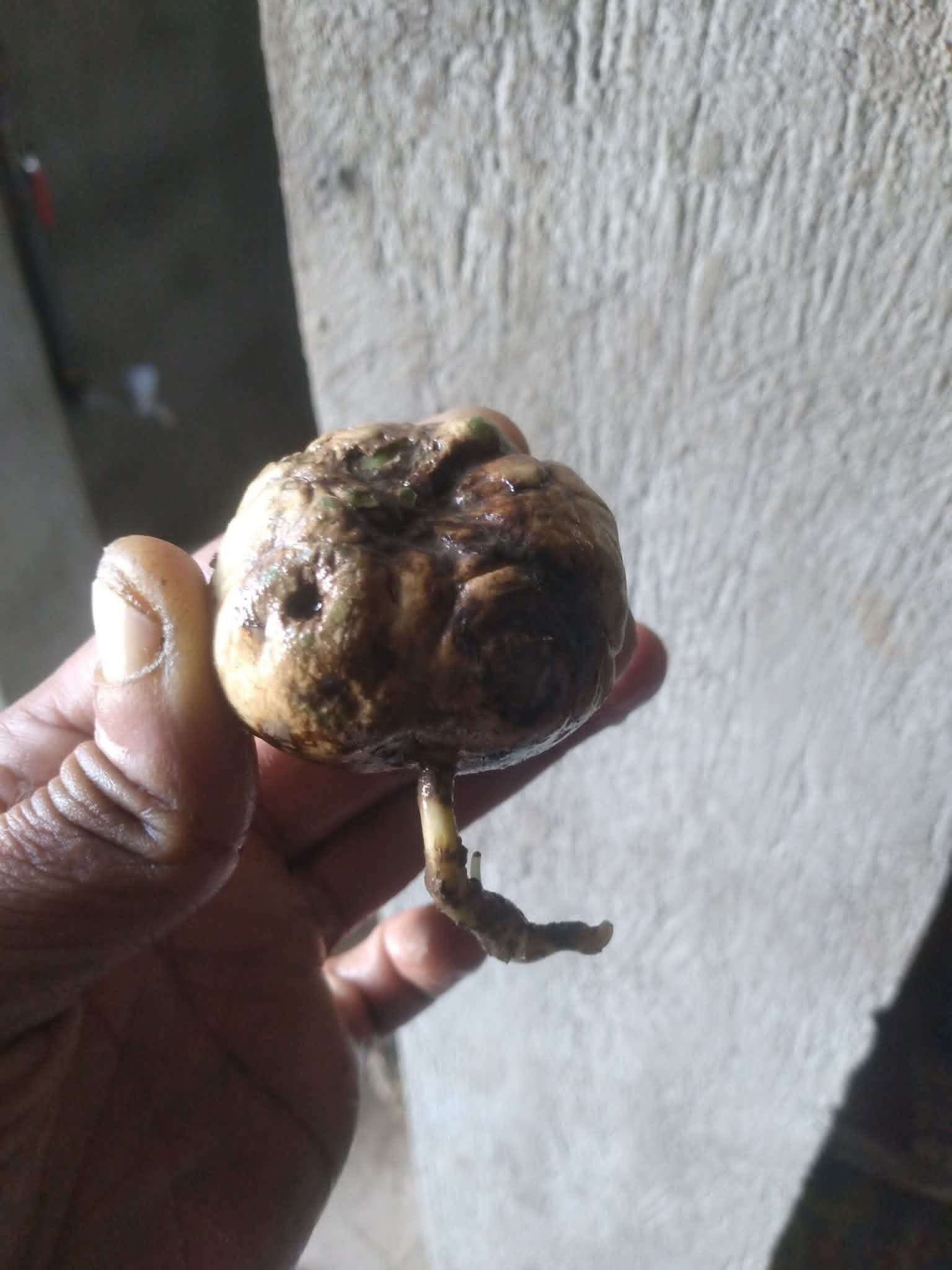 مواطن يعثر على أمر غريب في مجرى للأمطار