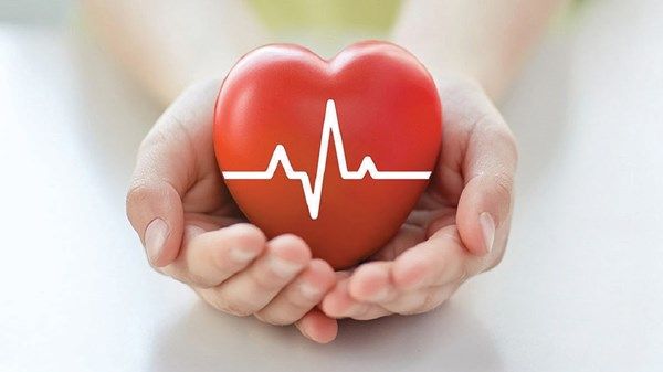 الإمارات تحتفي غداً بيوم القلب العالمي
