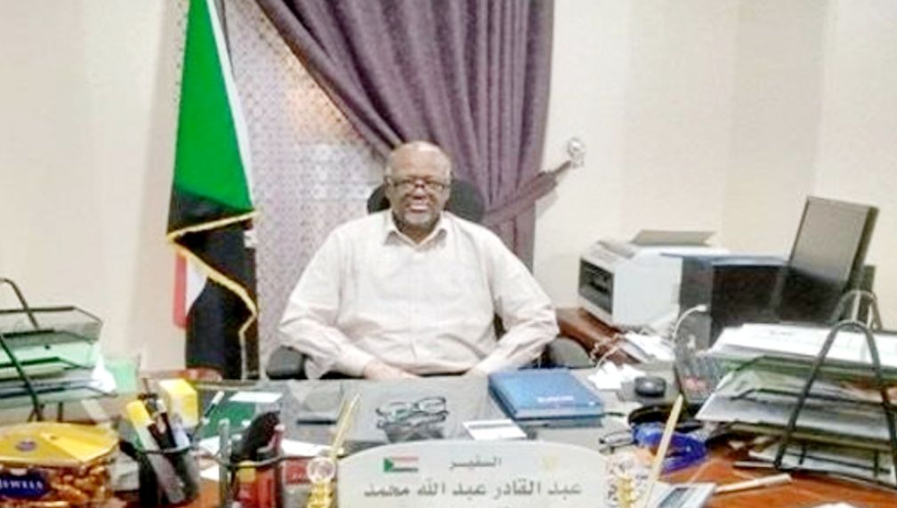 القنصل العام بأسوان يشيد بالمواقف المصرية في التخفيف من آثار الحرب