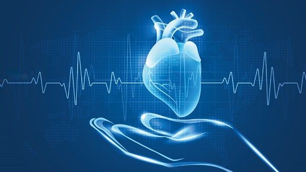 الإمارات ترسّخ ريادتها العالمية في الوقاية من أمراض القلب والأوعية الدموية