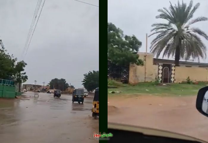 ولاية النيل الأبيض تبحث ترتيبات مجابهة ارتفاع مناسيب النيل