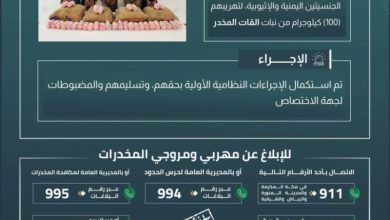 ضبط 5 مخالفين في عسير وبحوزتهم 100 كجم من نبات القات
