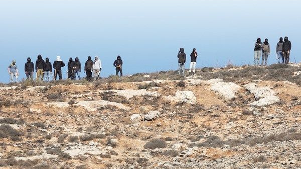 مستوطنون إسرائيليون يقطعون مئات الأشجار في الضفة