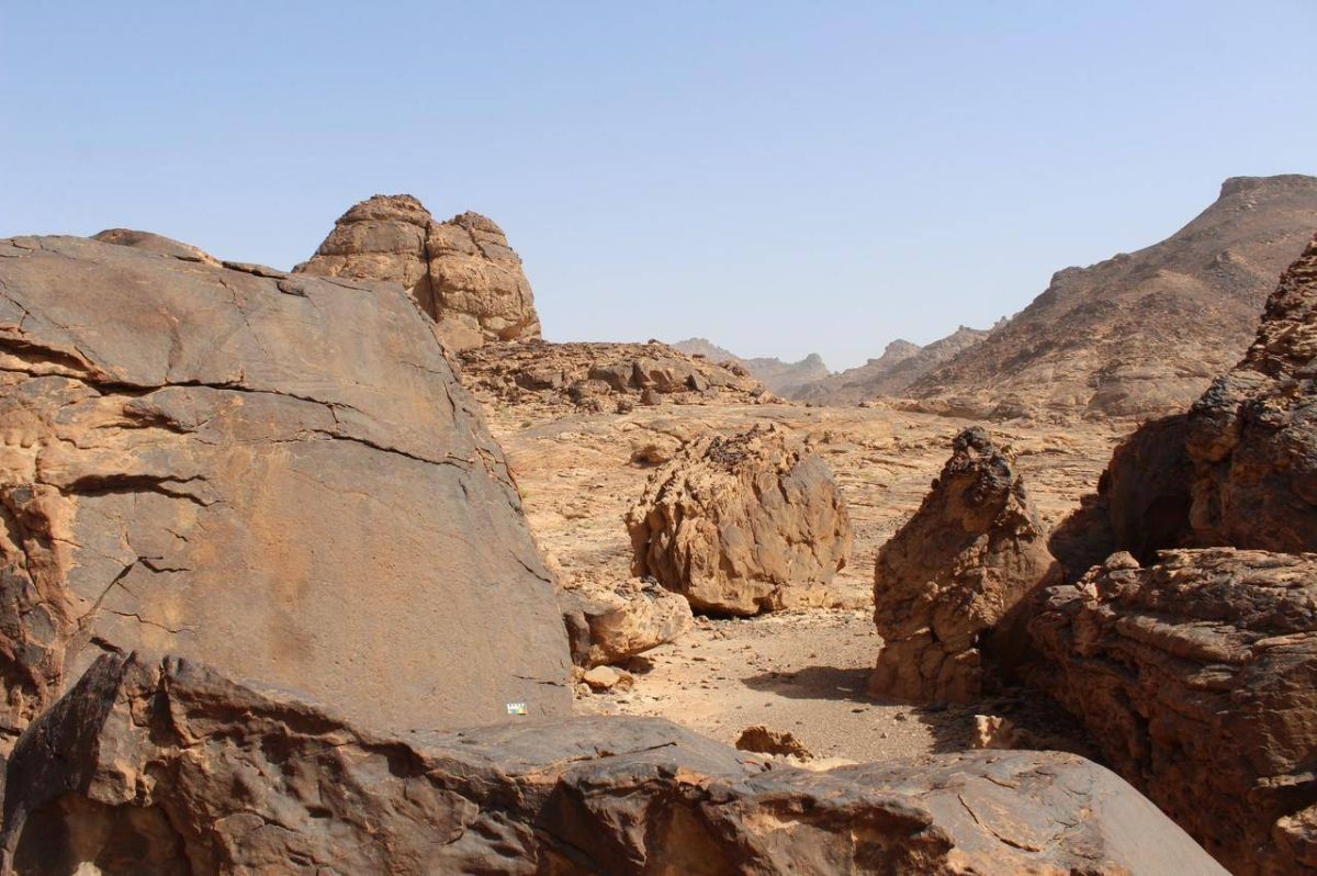 نقوش صخرية تكشف عن أقدم عودة معروفة للإنسان إلى الجزيرة العربية بعد العصر الجليدي الأخير