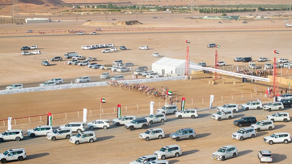 هزاع بن زايد يشهد منافسات ختامي مهرجان العين لسباقات الهجن 2025