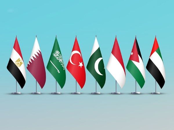 بيان مشترك لوزراء خارجية الإمارات والأردن وإندونيسيا وباكستان وتركيا والسعودية وقطر ومصر