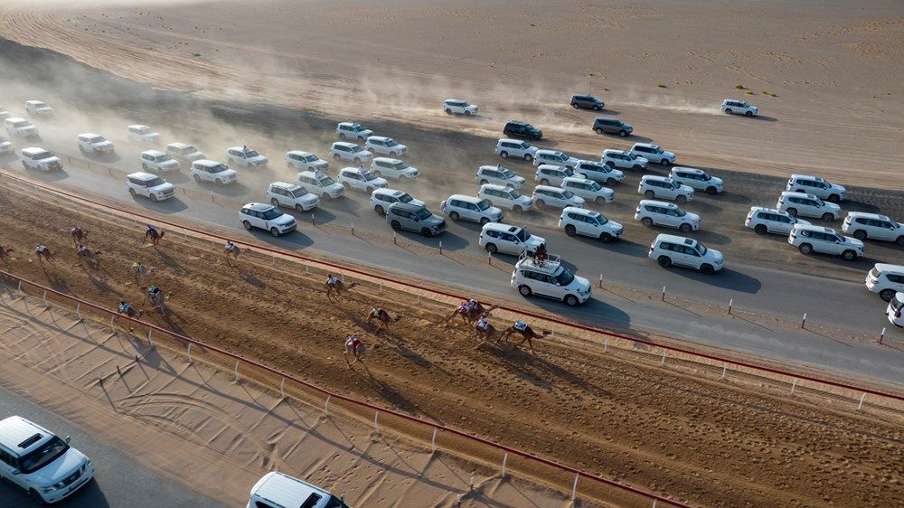 هزاع بن زايد يشهد منافسات ختامي مهرجان العين لسباقات الهجن 2025