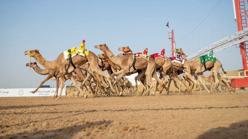 هزاع بن زايد يشهد فعاليات سباق فئة «اللقايا» في ميدان الروضة بمنطقة العين