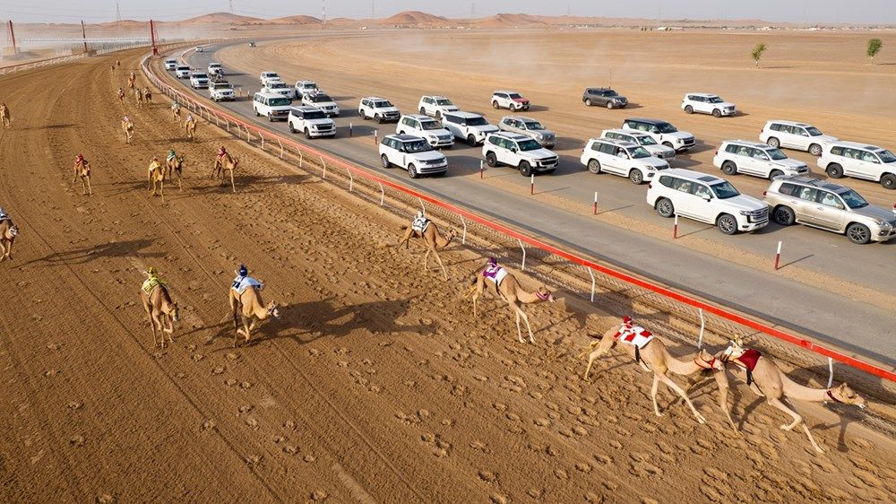 هزاع بن زايد يشهد فعاليات سباق فئة «اللقايا» في ميدان الروضة بمنطقة العين